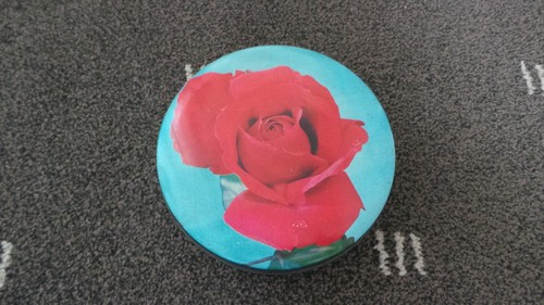 Roses bright floral flower - roses-bright, floral/flower