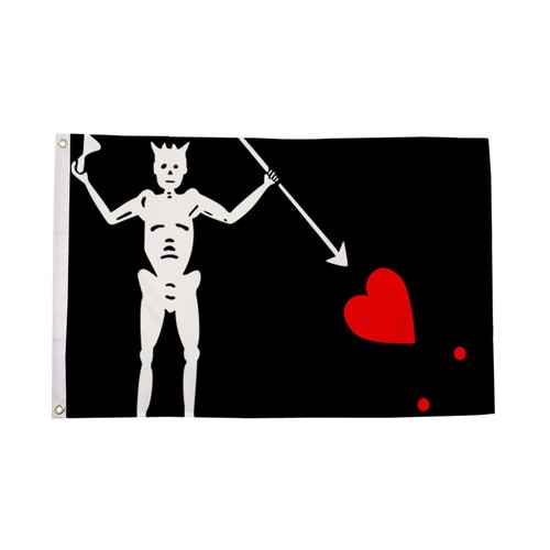 Flagtex blackbeard flag edward - flagtex,