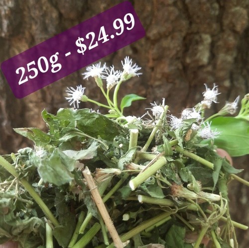 250g dried mexican dream - dried, herb
