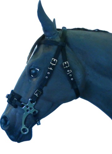 Official libby hackamore - libby's,