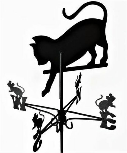 Traditional cat chasing - chasing, mouse
