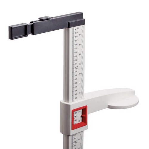 Seca 213 height - seca, measure