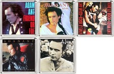 ADAM ANT ALBUM COVER FRIDGE