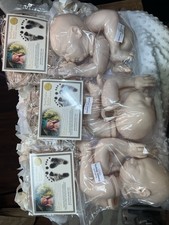 3  Bountiful Baby Dominic