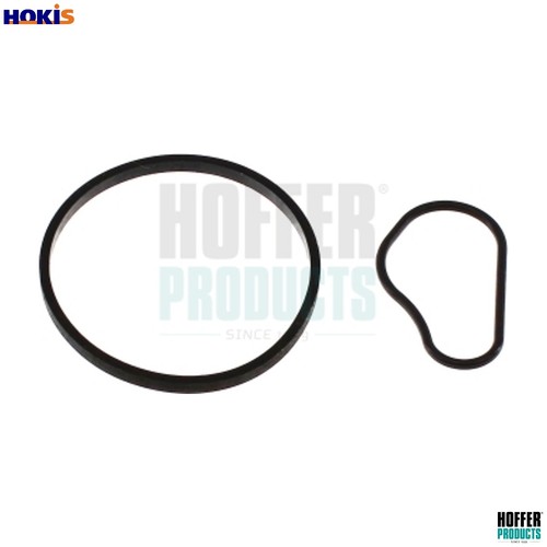 Gasket vacuum pump 91252 - 91252, for