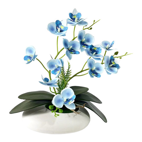 Fake phalaenopsis orchid - phalaenopsis, 12