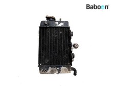 Radiator Right Honda XL 600 V Transalp 1991-1993 (XL600V PD06)