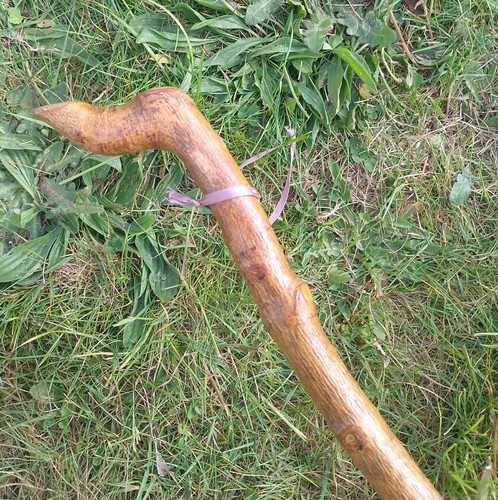 Vintage wooden root high - root,