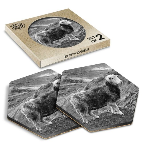 Hexagon coasters bw - hexagon,