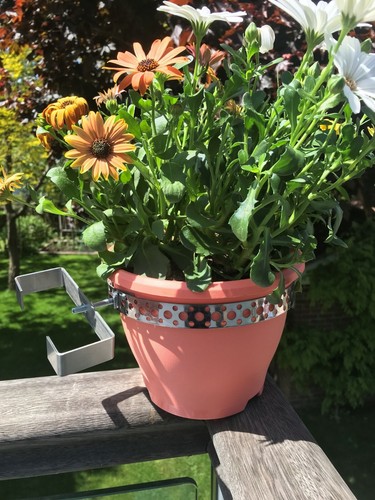 S potholder brackets - x, 7"