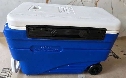 Cool cooler ice insulated - cool,