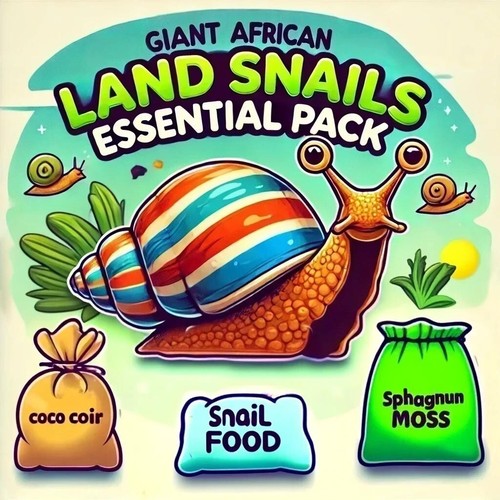Giant african land snail - african,
