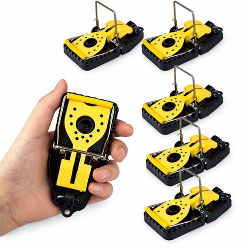 Pack mouse traps snap - mouse,