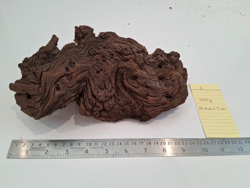 Bogwood driftwood burl - bogwood,