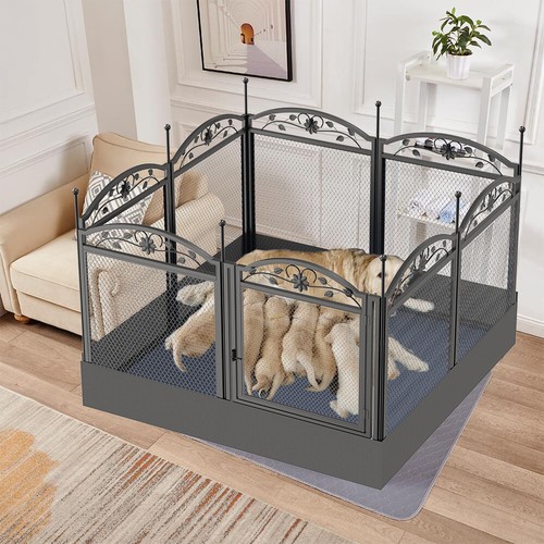 Spacious large dog - spacious, whelping