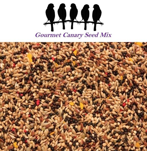 Gourmet canary seed - seed, mix