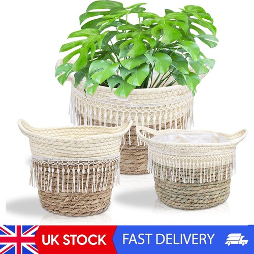 Set braided old - 3,