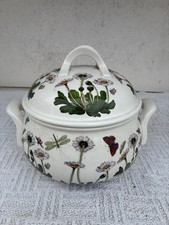 Portmeirion Botanic Garden