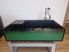 Tortoise Table