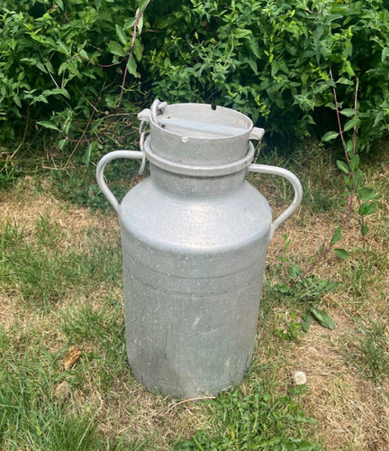 Vintage milk churn garden - vintage,
