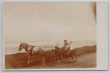 RPPC Edwardian Family in Pony & Trap by the Sea, Horse & Carriage Social Hist