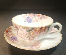 Copeland Spode Chelsea Garden Bone China Teacup And Saucer England EVC