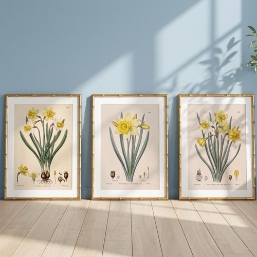 Set vintage botanical - of,