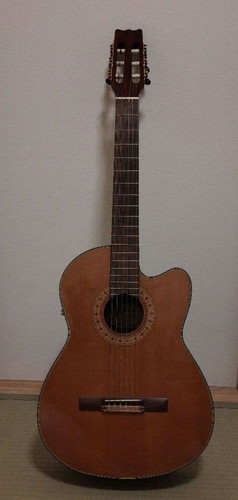 Vantage ce cutaway - vc-20,