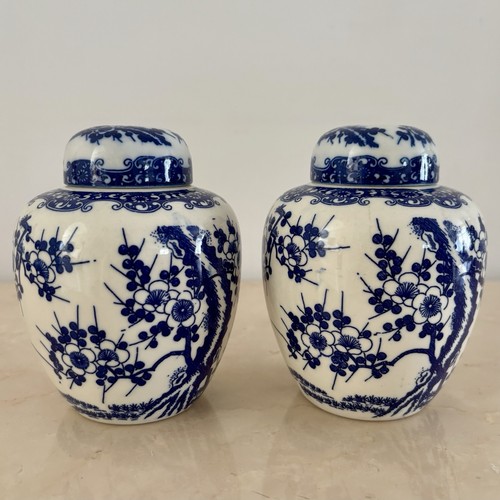 Pair blue white ginger jars - pair,