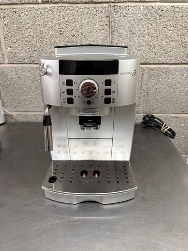 Longhi magnifica bean to - magnifica,