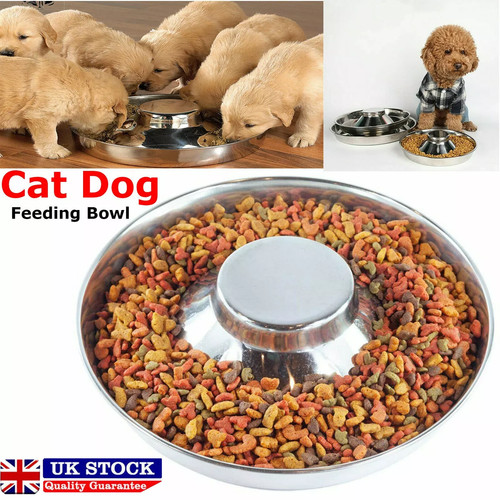 Silver stainless feeder bowl - feeder,