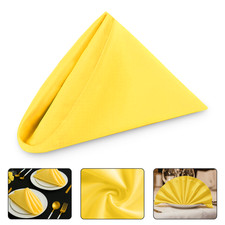Napkins Dinner Cloth Poly