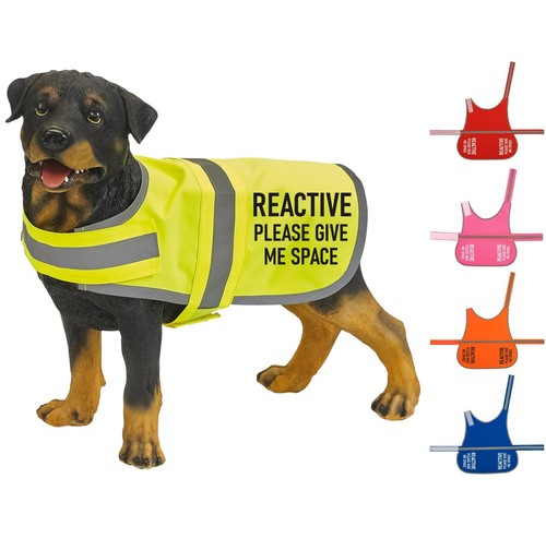Reactive please give - please, me