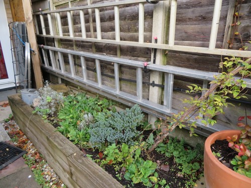 Youngman 200 ladder double - ladder,