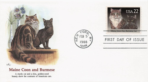 Cat breeds maine coon - maine, &