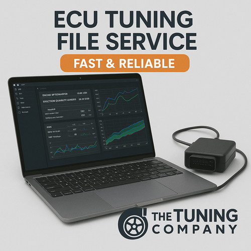 Custom tuning file remap - remap,