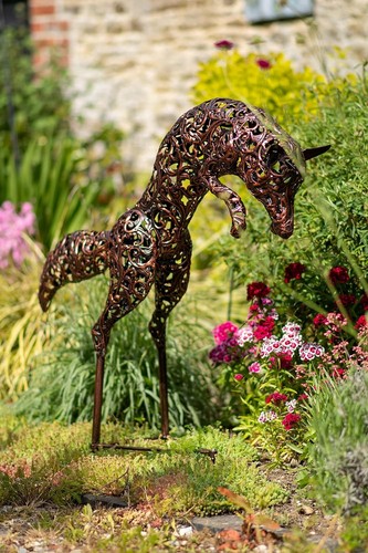 Leaping fox garden - , animal