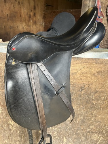 Albion dressage saddle m - albion,