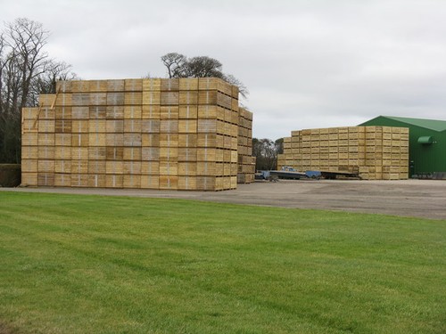 Photo potato boxes at - potato,