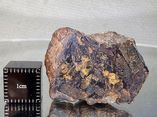 Nwa 17644 pallasite pmg - nwa, 17644,