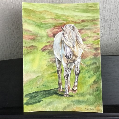 Original white pony - white, on