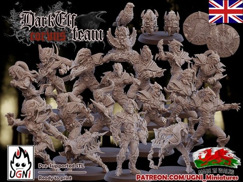 Dark elf elves proxy - proxy, team