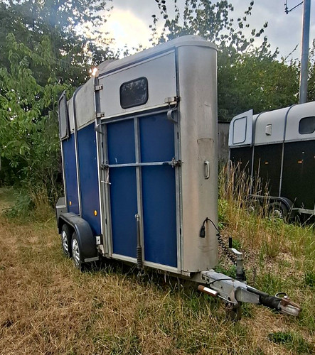 Ifor williams horse trailer - ,