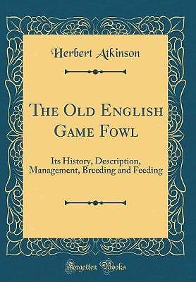 The old english game fowl - english,