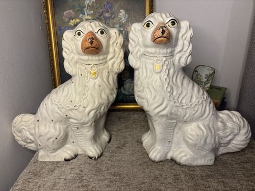 Beautiful pair large - of,