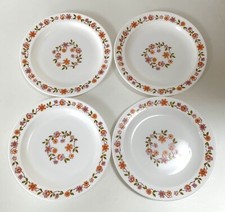 4 x Arcopal Scania 18.5cm Side