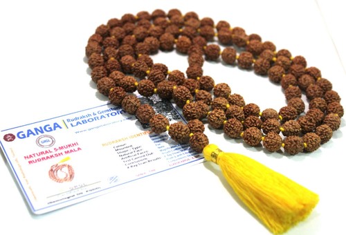 Lab certified rudraksha - lab,