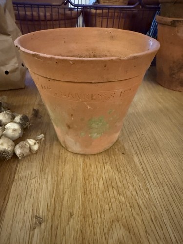 Sankeys ltd terracotta plant - sankeys,