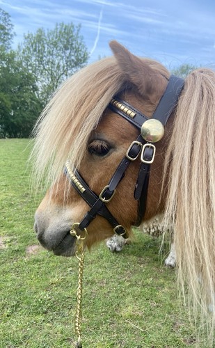 Hand bridle brass clencher - in-hand,