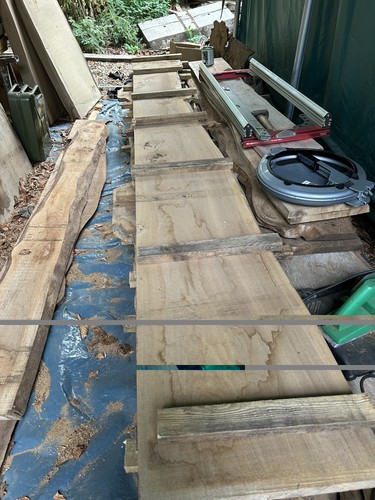 Waney edge elm - waney, board